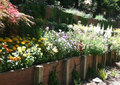 ortamentals-flower-beds-017